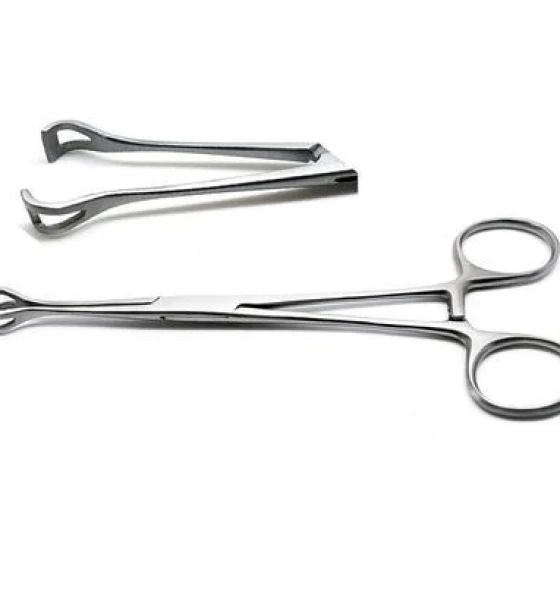 ملقط بابكوك/Babcock Tissue Forceps[16 cm]